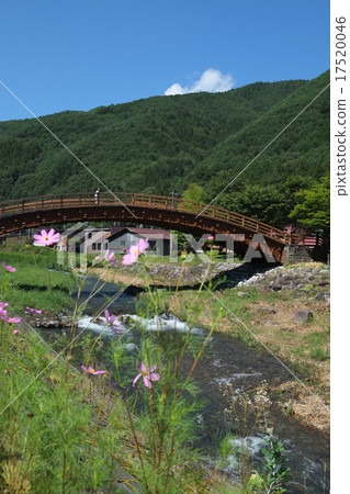 長野夏季第3部分 17520046