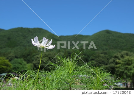 長野夏季第4部分 17520048