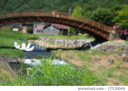 Nagano Summer Part 5 Nagano Summer Part 5 17520049