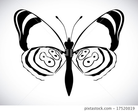 Butterfly design over white background vector illustration Butterfly design over white background vector illustration 17520819