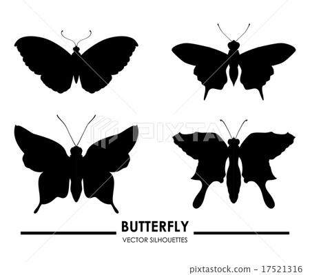 Butterfly design over white background vector illustration 17521316