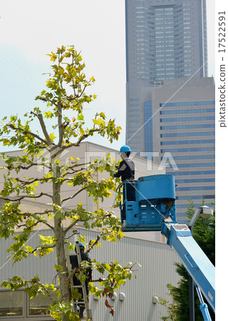 街道樹修剪工作 17522591