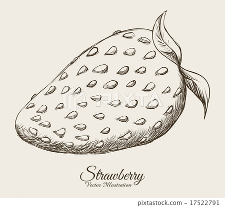 Strawberry 17522791