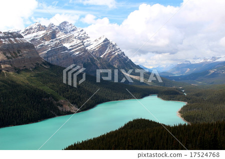 Canadian Rocky's Glacier Lake / Peyto Lake Canadian Rocky's Glacier Lake / Peyto Lake 17524768