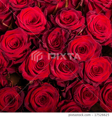 Abstract background of roses Abstract background of roses 17526625