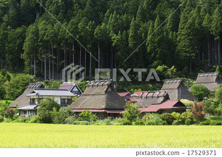 酒井的村莊風光 酒井的村莊風光 17529371