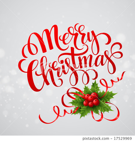 Christmas greeting card. Vector illustration 17529969