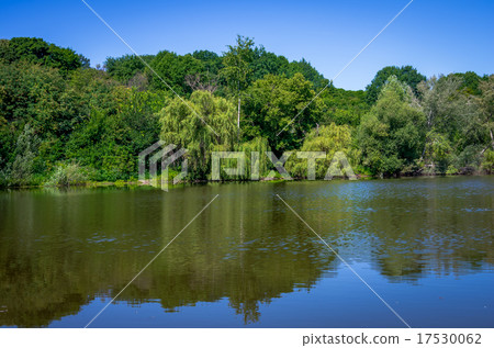 Pond on a sunny day 17530062