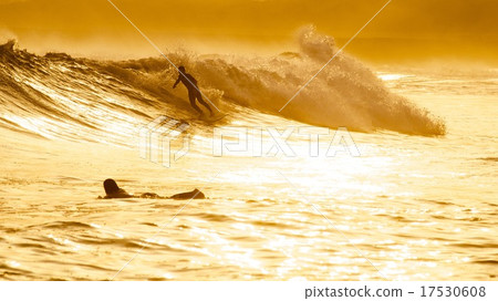 surfer surfer 17530608