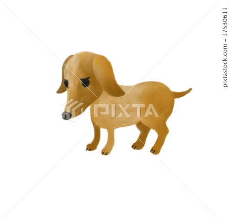 Dachshund 17530611