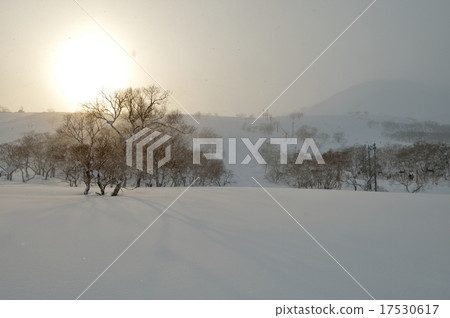 Niseko的滑雪勝地在黃昏 17530617