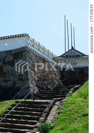 Tomioka castle 17530634