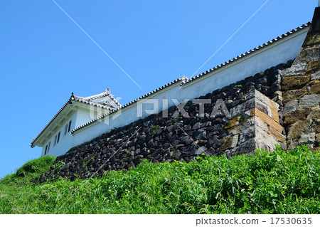 Tomioka castle 17530635