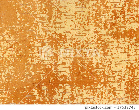 Underside of a birch bark 17532745