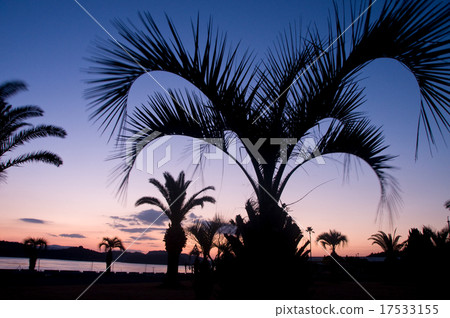 Dawn of the sunrise coast 17533155