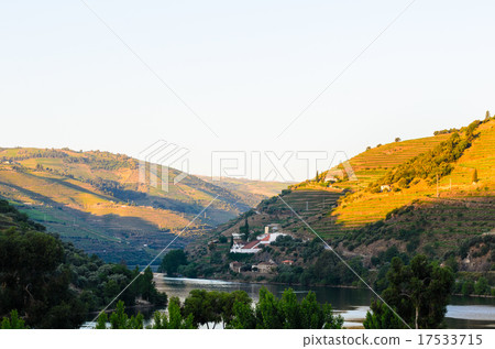 river Douro valley, Portugal 17533715