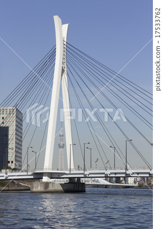 東京中央大橋 東京中央大橋 17533762