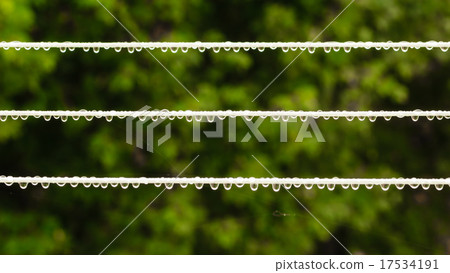 Strip rope for washing laundry with rain drops outdoor. Strip rope for washing laundry with rain drops outdoor. 17534191