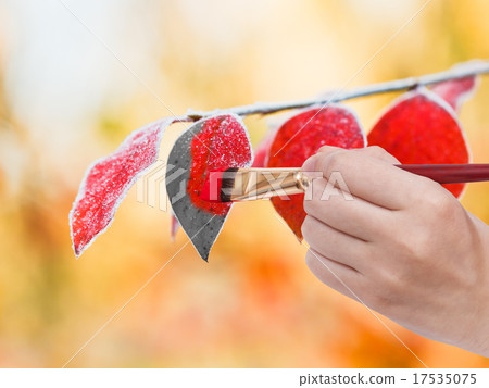 paintbrush paints frozen leaves in red colour paintbrush paints frozen leaves in red colour 17535075