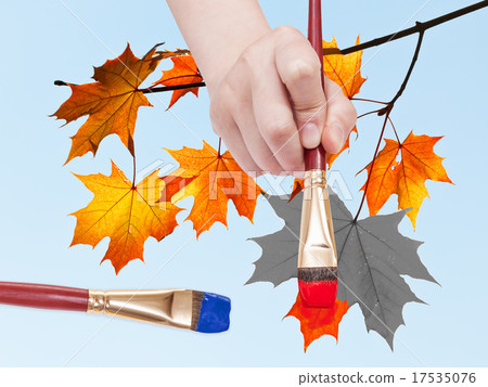 paintbrush paints maple leaves in blue sky paintbrush paints maple leaves in blue sky 17535076