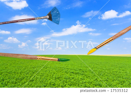 paintbrushes on green lucerne field under blue sky 17535312