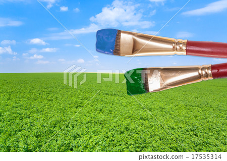 paintbrushes on agrarian field under blue sky paintbrushes on agrarian field under blue sky 17535314