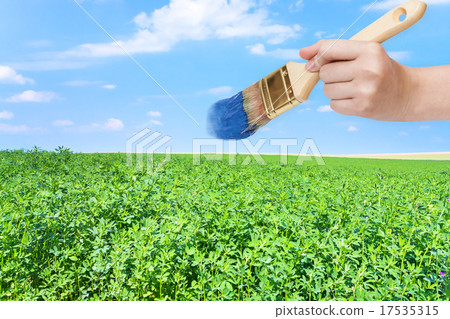 paintbrush paints blue sky over green field 17535315