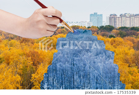 blue winter forest from yellow autumn forest blue winter forest from yellow autumn forest 17535339