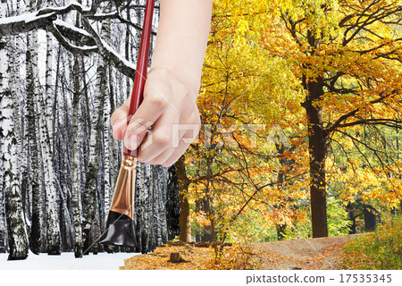 paintbrush paints black bare trees in winter fores 17535345