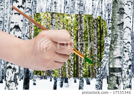 paintbrush paints green leaves on birches 17535348