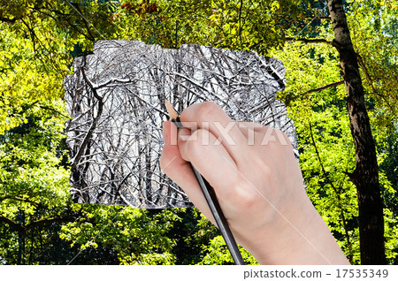 pencil draws bare trunks in winter forest pencil draws bare trunks in winter forest 17535349