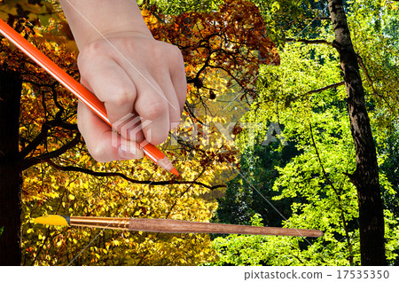 pencil draws autumn leaves in green summer forest pencil draws autumn leaves in green summer forest 17535350