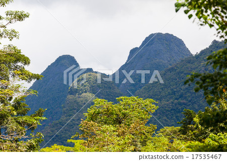 Exotic rainforest landscape 17535467