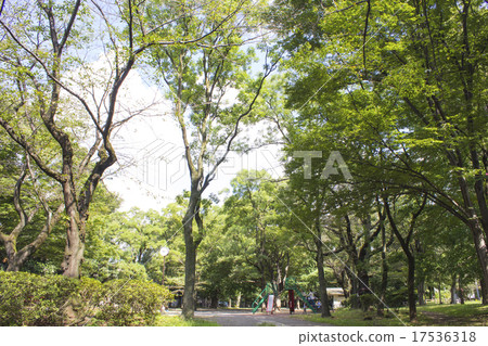 在Zenfukuji公園的Midori 17536318