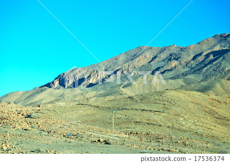 bush in valley morocco africa the atlas bush in valley morocco africa the atlas 17536374
