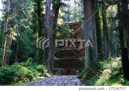 Haguroyama five-storied pagoda 17536737
