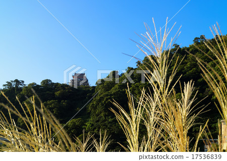 Early morning early in the Atami port of Atami Port and Suki Castle 17536839