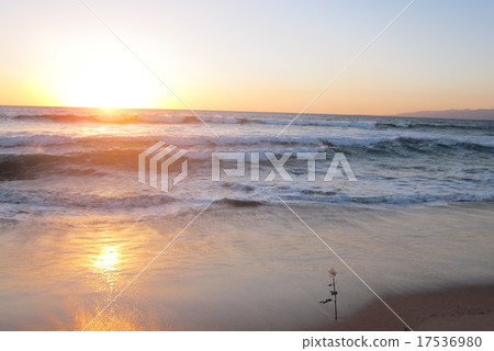 在洛杉磯的日落 17536980