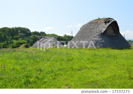 Thatched pit style dwelling (Mika Maruyama ruins / Aomori prefecture Aomori shi, Sansui inside Maruyama) 17537275