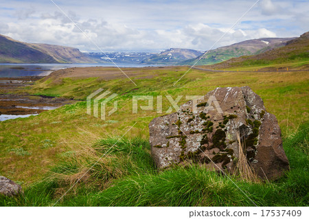 Seal bay, of Westfjords, Iceland 17537409