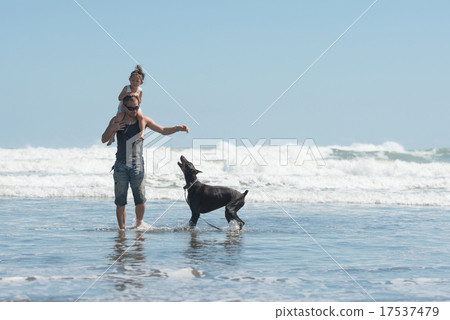 Parents and dogs playing in the sea 17537479