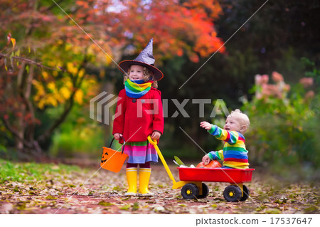 Kids trick or treat at Halloween 17537647