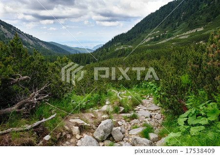 Retezat Mountains, Romania, Europe 17538409