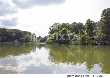 Zenfukuji池塘 17538689