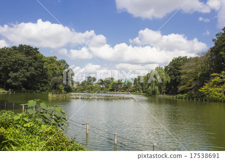 Zenfukuji池塘 17538691