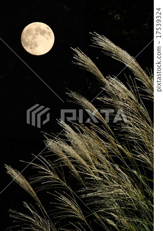 full moon full moon 17539324