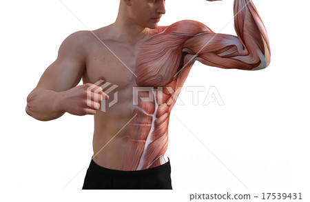 Mastered male perming3DCG illustration material 17539431