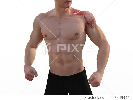 Mastered male perming3DCG插圖素材 Mastered male perming3DCG插圖素材 17539445