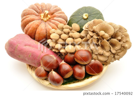 秋天的味道 17540092