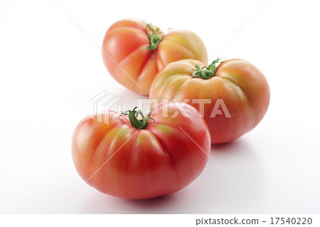 Tomato   17540220